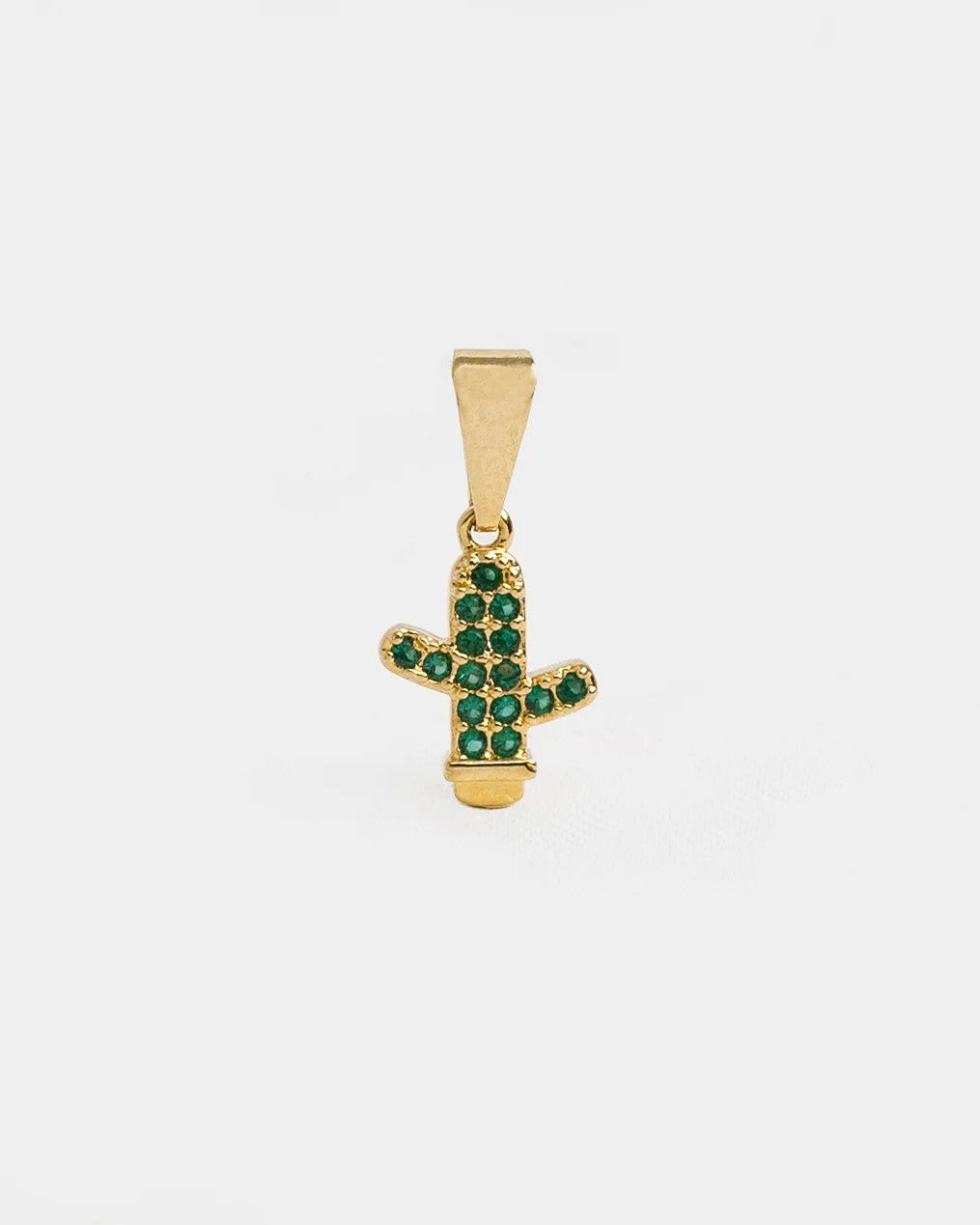 Dijes Cactus