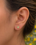 Topo luck clover