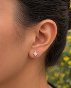 Topo luck clover