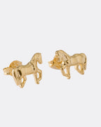Topo Caballo