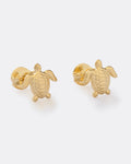 Topo Turtle