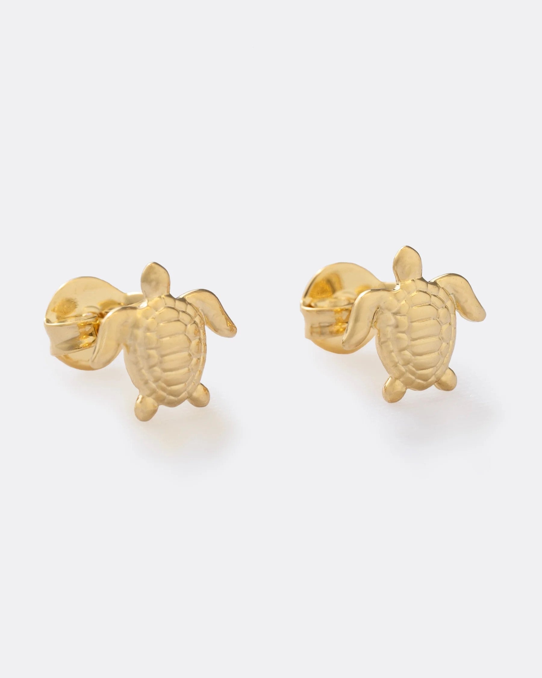Topo Turtle
